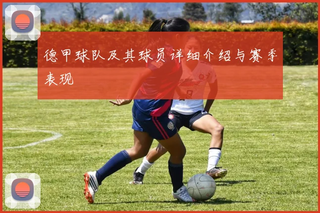 德甲球队及其球员详细介绍与赛季表现