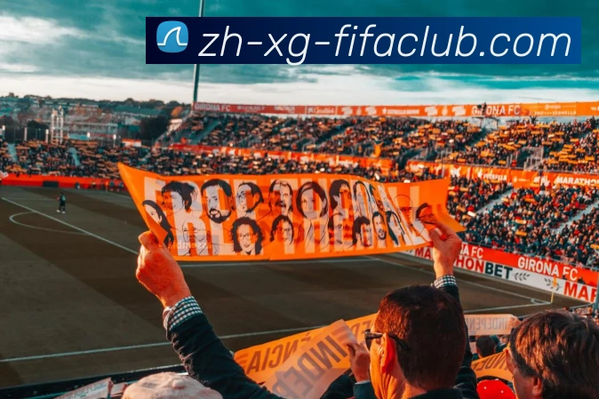 多媒体互动体验